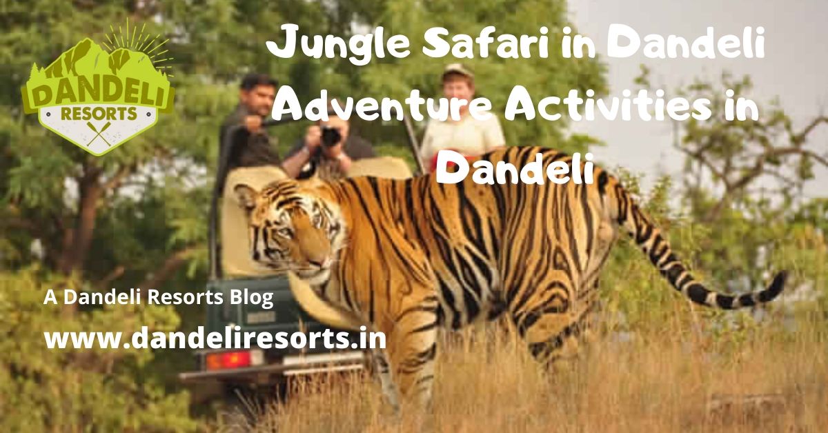 Jungle Safari in Dandeli - Adventure Activities in Dandeli