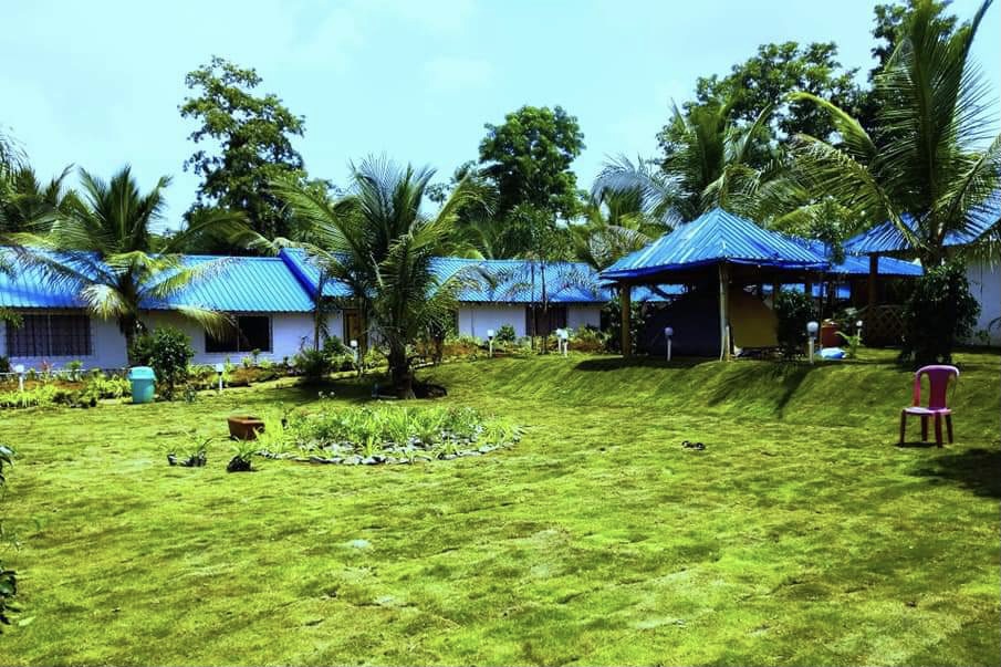 stay in dew drop jungle resort dandeli