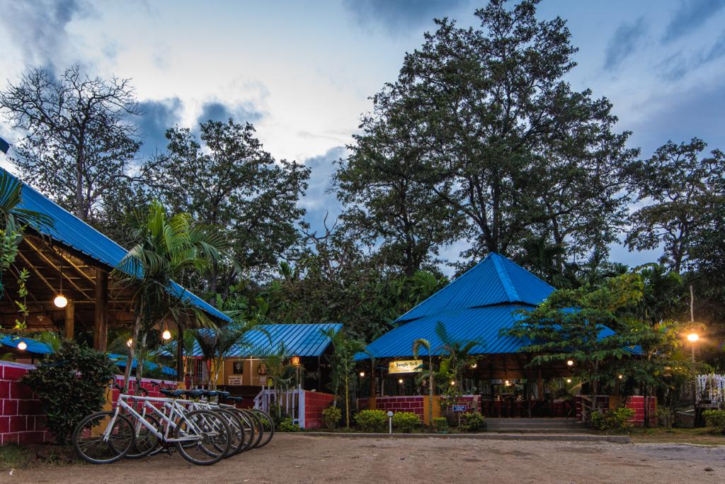 stay in dew drop jungle resort dandeli